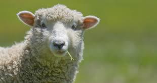 قرارداد الکترونیکی؛ تضمین امنیت سرمایه‌گذاران