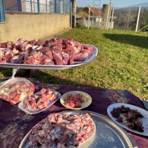 چنجه  تست 